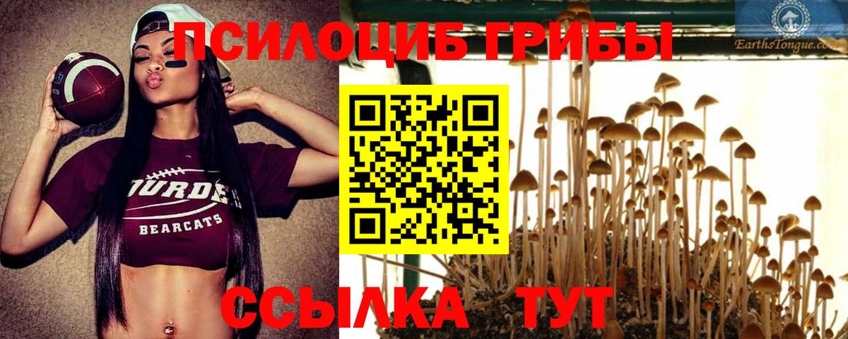 Галлюциногенные грибы мицелий Губаха